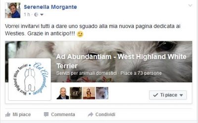 Pagina Facebook