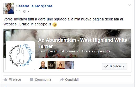 Pagina Facebook