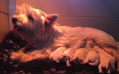 05.06.2018 Eddy X Mimi