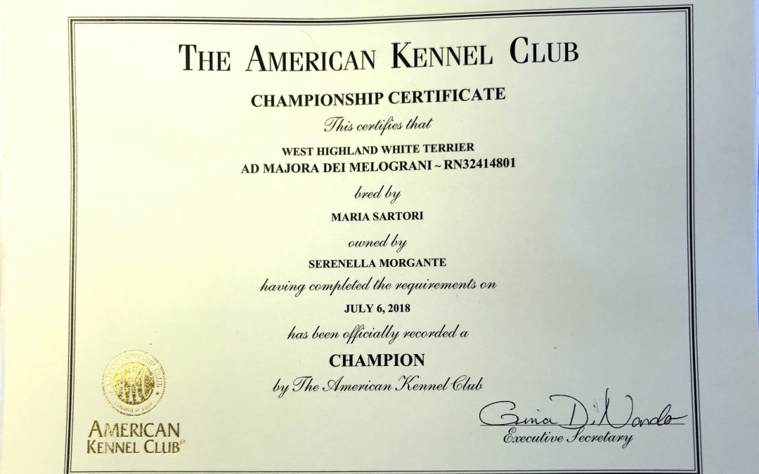 Ch Ad Majora dei Melograni